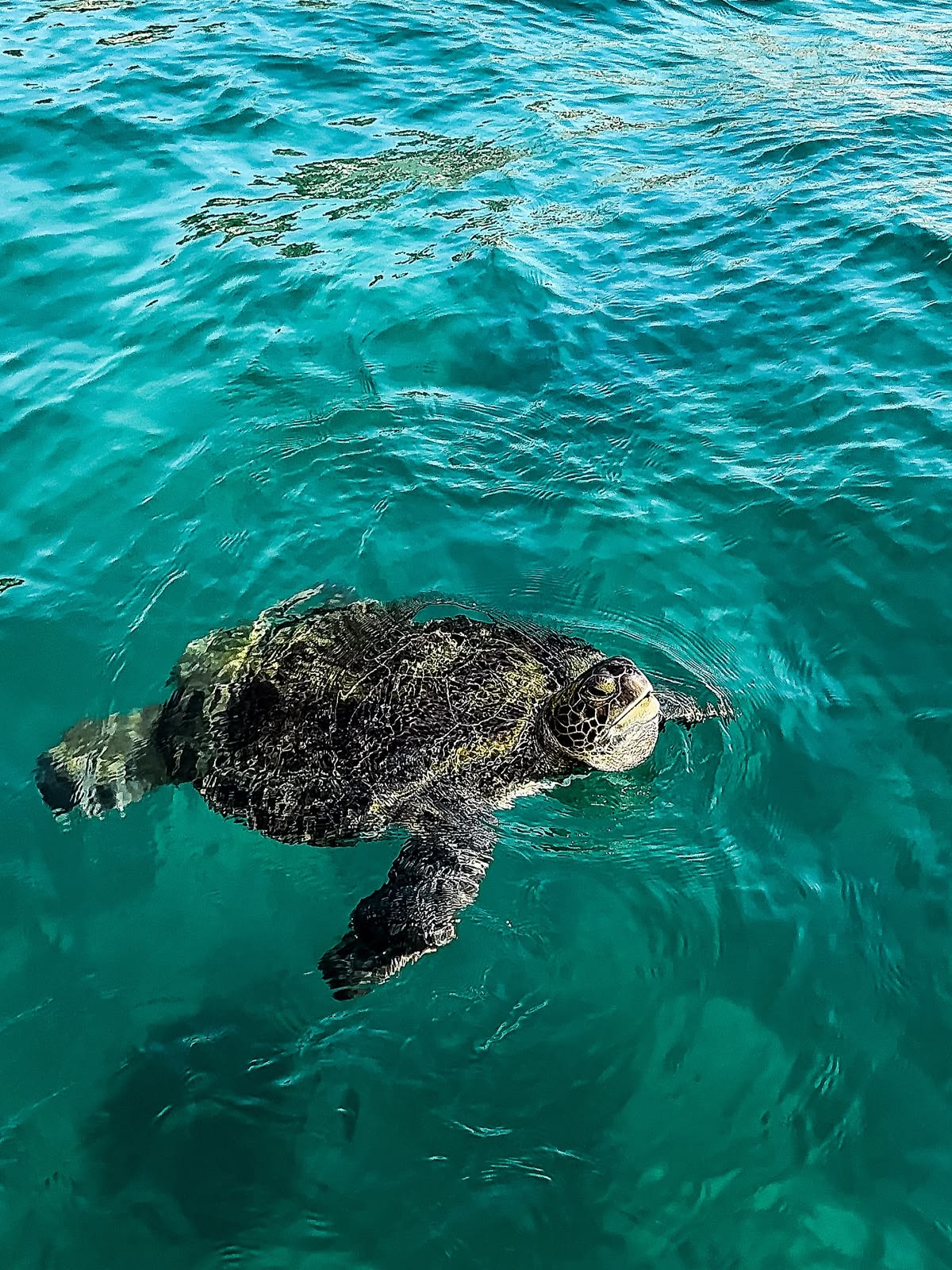 Antalya's Hidden Coves and Beaches